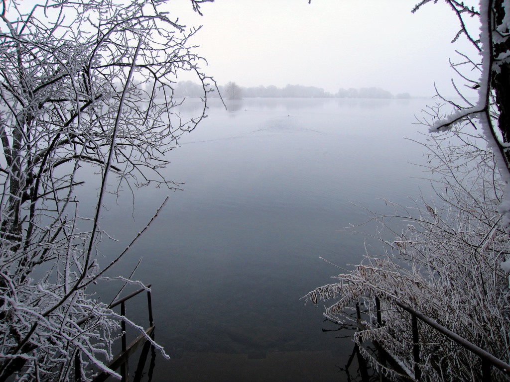 Mövensee Winter 2010