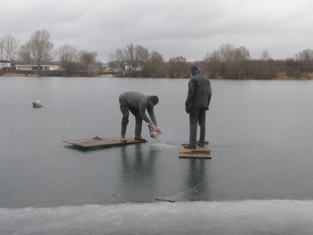 frozen Water Timbersports