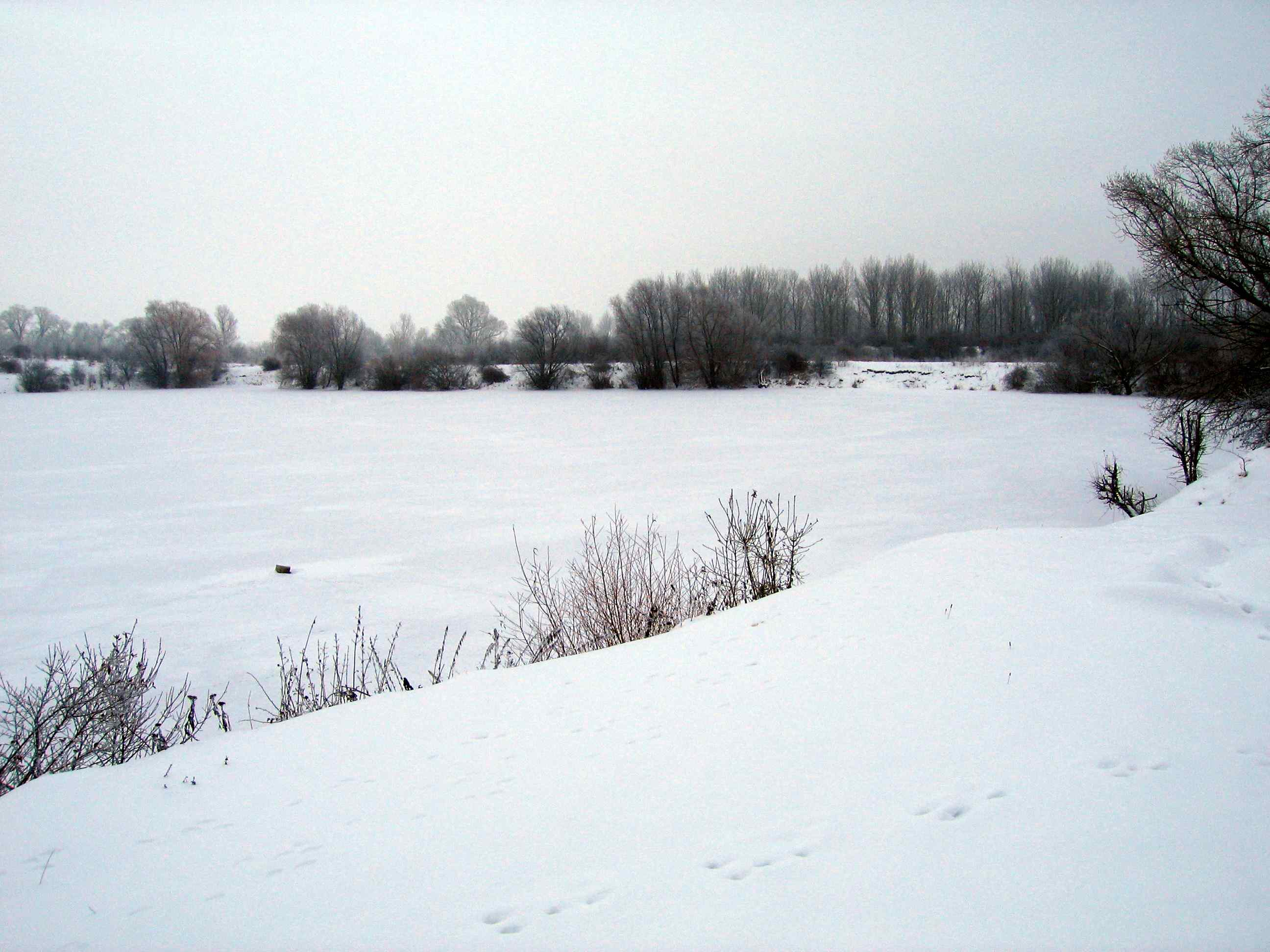 Tauchersee Winter 2010